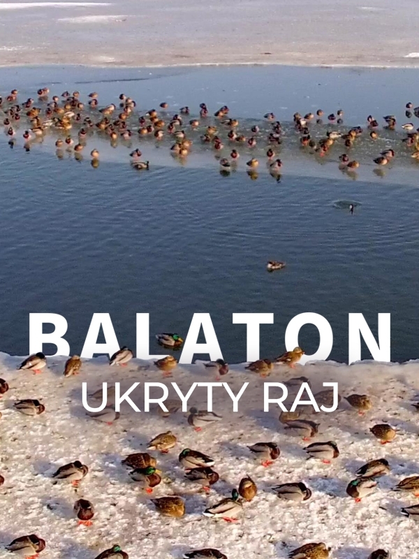 Balaton: Ukryty raj