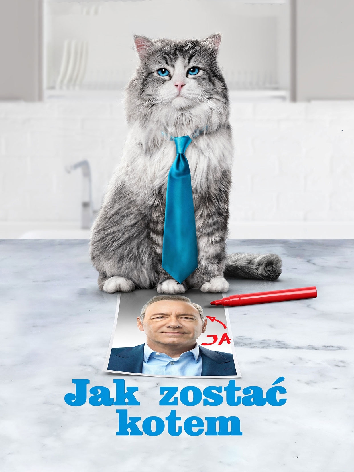 Jak zostać kotem