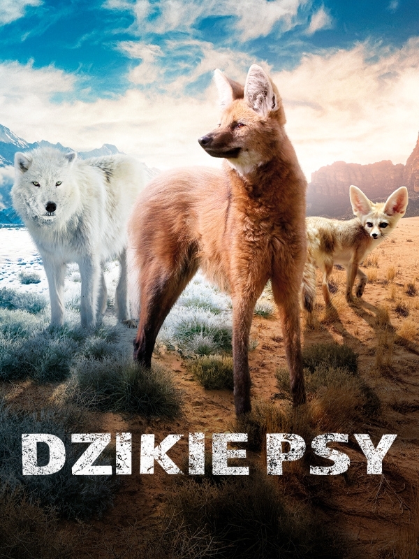 Dzikie Psy
