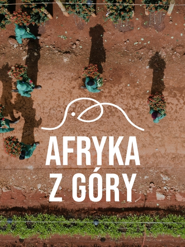 Afryka z góry