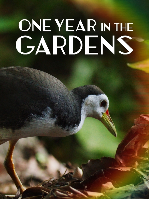 Magia ogrodów Singapuru