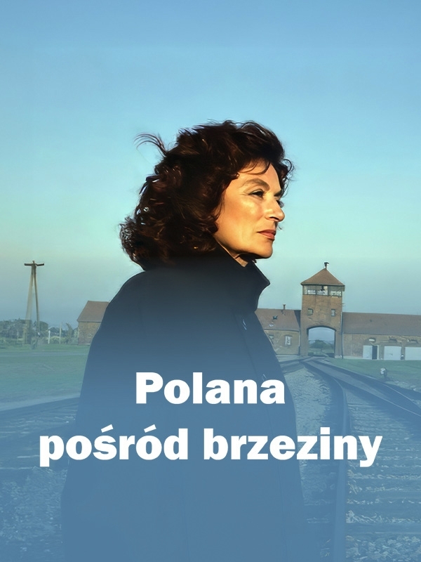 Polana pośród brzeziny