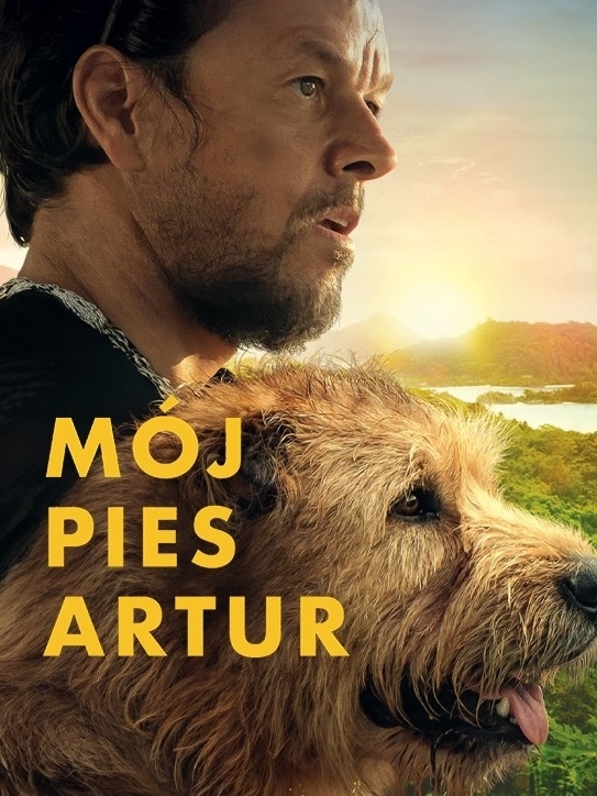 Mój pies Artur