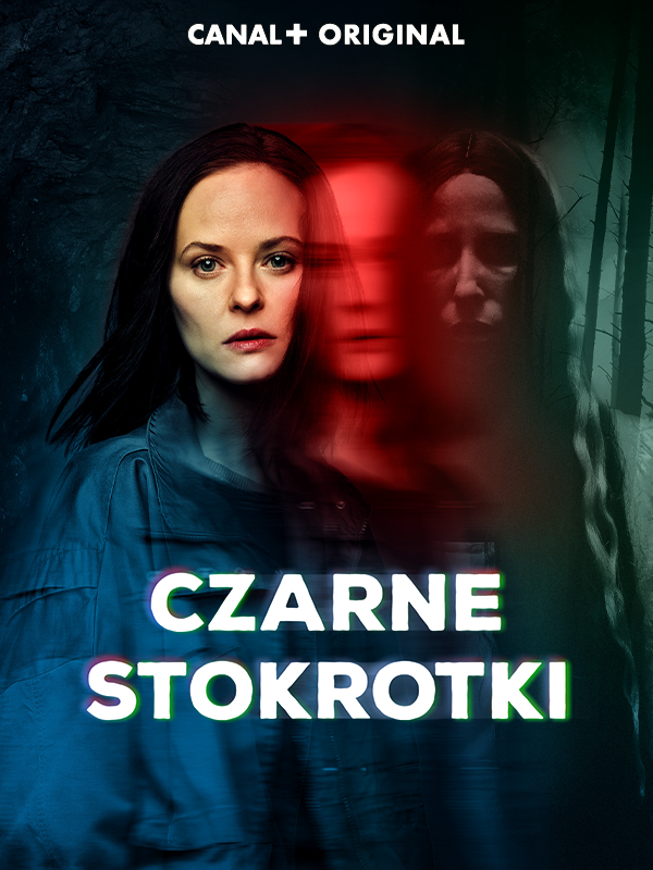 Czarne stokrotki